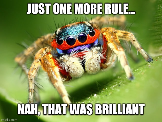 Jumping Spider | JUST ONE MORE RULE... NAH, THAT WAS BRILLIANT | image tagged in jumping spider | made w/ Imgflip meme maker