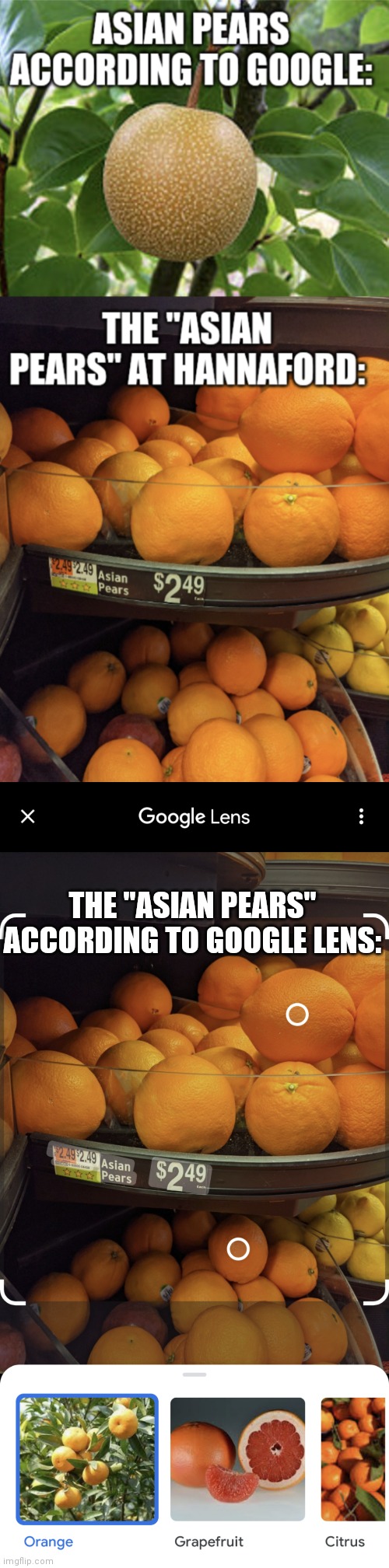 Asian Pears | THE "ASIAN PEARS" ACCORDING TO GOOGLE LENS: | image tagged in asian pears,google,google lens,hannaford | made w/ Imgflip meme maker