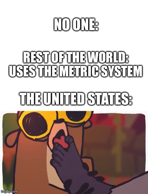 Mort and the USA have similar likings | NO ONE:; REST OF THE WORLD: USES THE METRIC SYSTEM; THE UNITED STATES: | image tagged in blank white template,usa,metric,memes | made w/ Imgflip meme maker