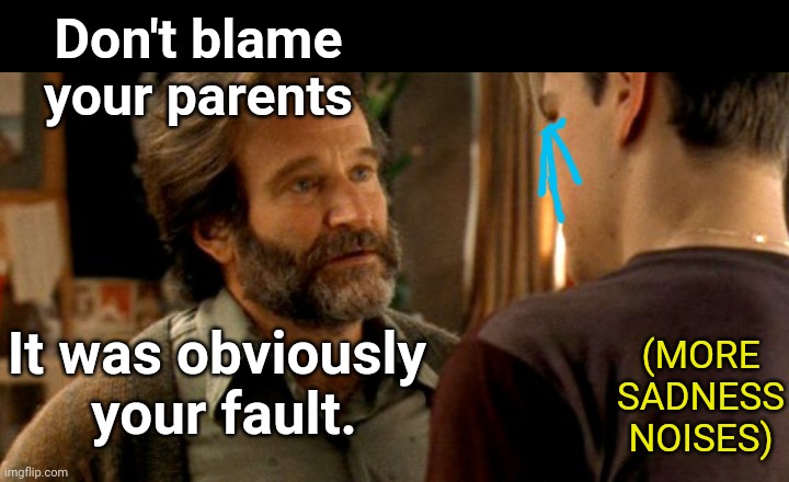 Don't blame your parents It was obviously 
your fault. (MORE SADNESS NOISES) | made w/ Imgflip meme maker