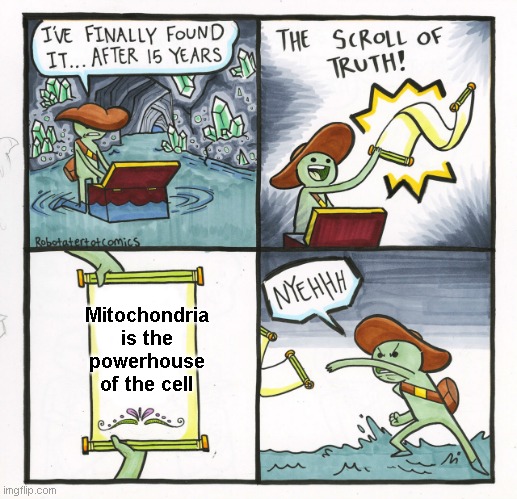 mitochondria is definitely the cell | Mitochondria is the powerhouse of the cell | image tagged in the scroll of truth,school | made w/ Imgflip meme maker