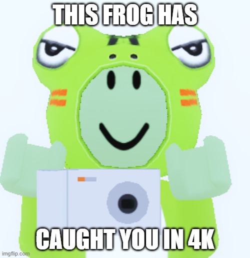 this frog caught you in 4k | THIS FROG HAS; CAUGHT YOU IN 4K | image tagged in frog,4k,caught in 4k,camera | made w/ Imgflip meme maker
