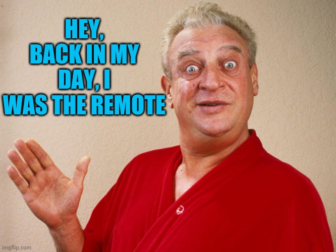 Rodney Dangerfield For Pres | HEY, BACK IN MY DAY, I WAS THE REMOTE | image tagged in rodney dangerfield for pres | made w/ Imgflip meme maker