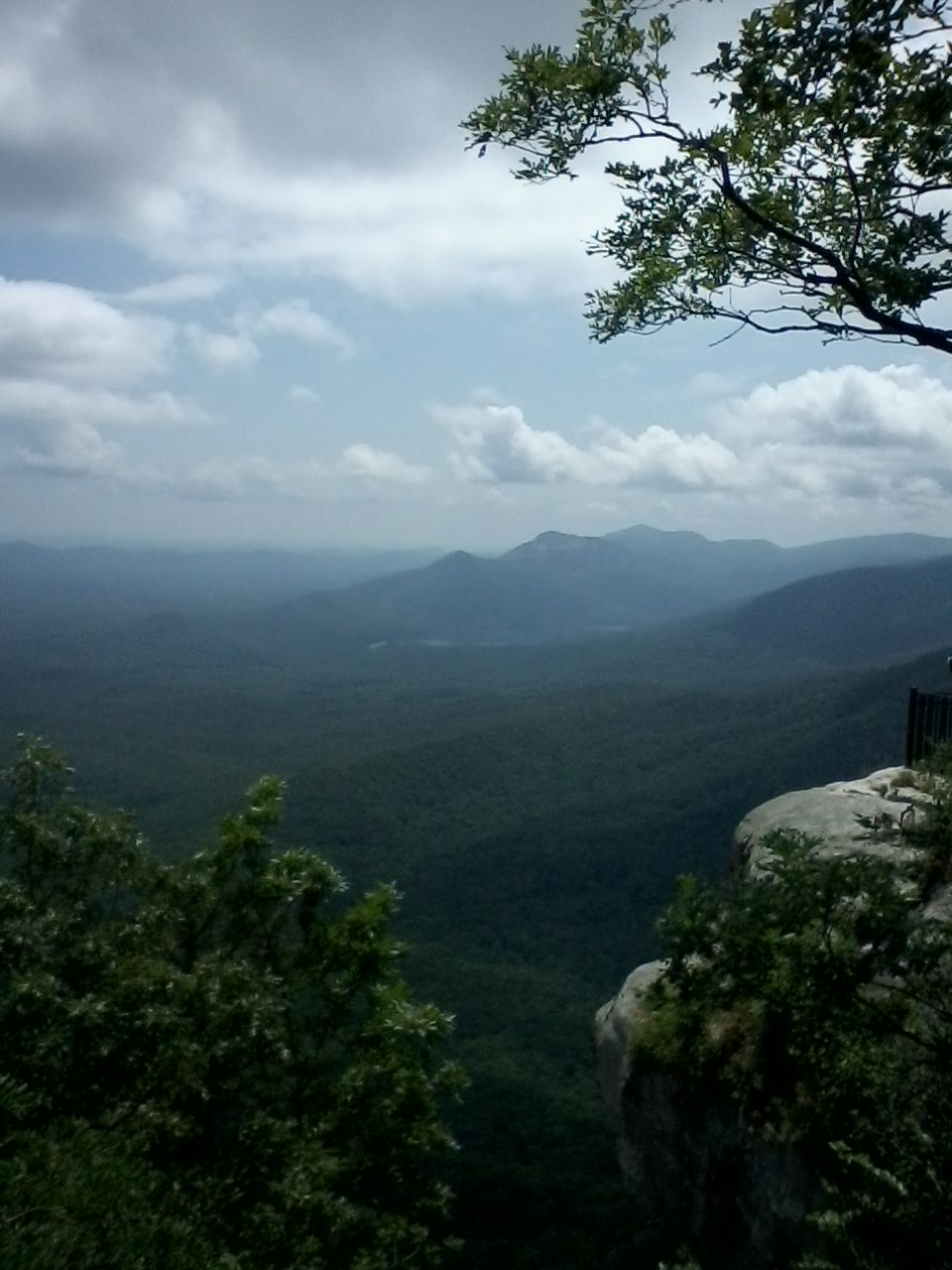 View from Caesar's head, SC Blank Meme Template