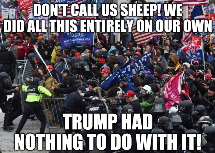 Capitol | DON'T CALL US SHEEP! WE DID ALL THIS ENTIRELY ON OUR OWN TRUMP HAD NOTHING TO DO WITH IT! | image tagged in capitol | made w/ Imgflip meme maker