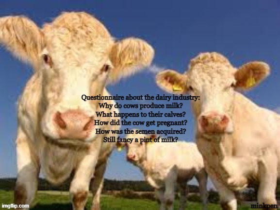 Still fancy a pint of milk? | image tagged in vegan,vegetarian,dairy,milk,cows,beef | made w/ Imgflip meme maker
