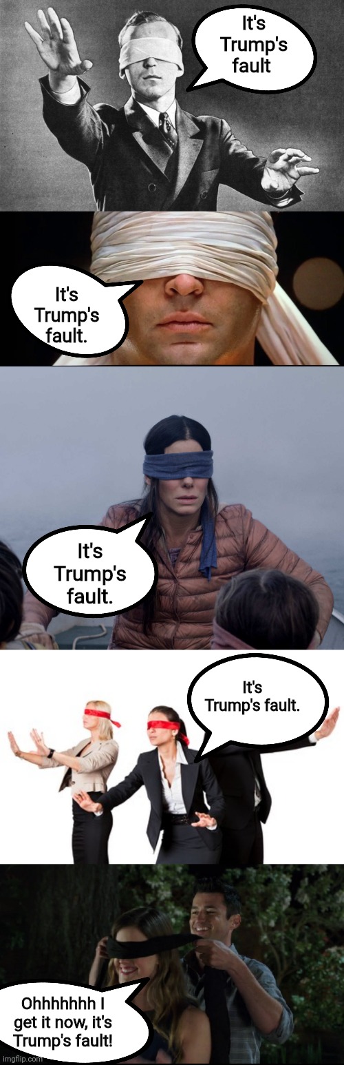 Modern Democratic Logic - requires modern solutions. | It's Trump's fault; It's Trump's fault. It's Trump's fault. It's Trump's fault. Ohhhhhhh I get it now, it's Trump's fault! | image tagged in blindfolded,memes,bird box | made w/ Imgflip meme maker