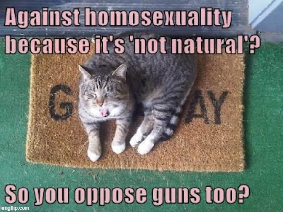 This #lolcat wonders if you oppose guns | image tagged in homosexuality,unnatural,gunsense,gun control | made w/ Imgflip meme maker