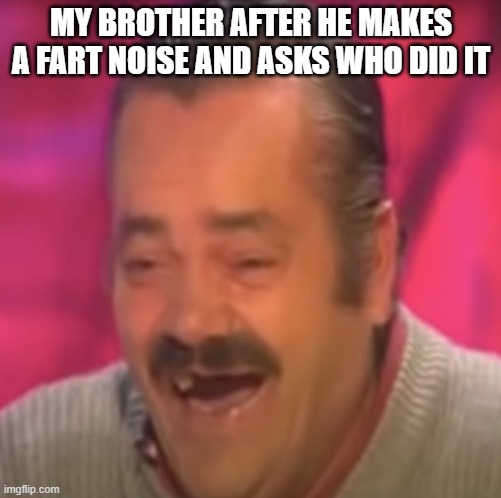 This is true tho | MY BROTHER AFTER HE MAKES A FART NOISE AND ASKS WHO DID IT | image tagged in fart,fun,funny | made w/ Imgflip meme maker