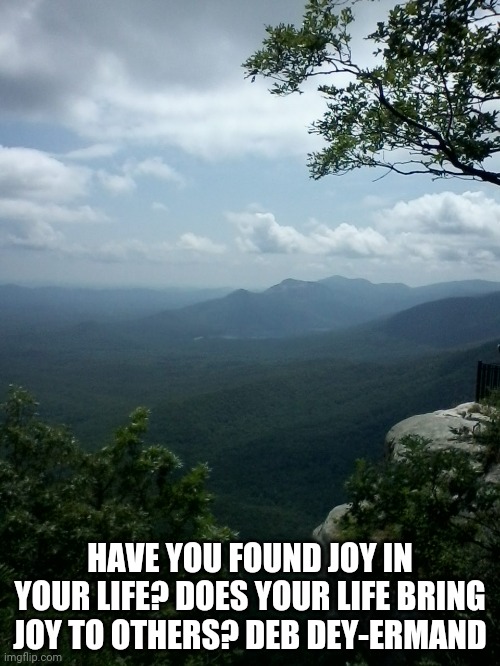 View from Caesar's head, SC | HAVE YOU FOUND JOY IN YOUR LIFE? DOES YOUR LIFE BRING JOY TO OTHERS? DEB DEY-ERMAND | image tagged in view from caesar's head sc | made w/ Imgflip meme maker