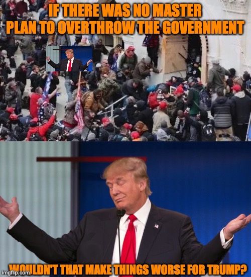IF THERE WAS NO MASTER PLAN TO OVERTHROW THE GOVERNMENT; WOULDN'T THAT MAKE THINGS WORSE FOR TRUMP? | image tagged in maga riot,donald trump shrugging | made w/ Imgflip meme maker