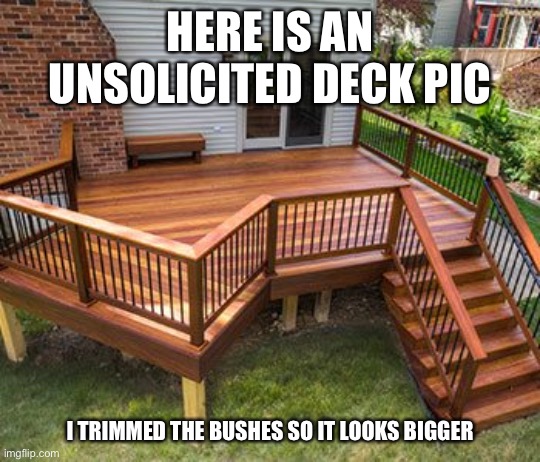 10/10 would sit on it. | HERE IS AN UNSOLICITED DECK PIC; I TRIMMED THE BUSHES SO IT LOOKS BIGGER | image tagged in sexy deck pic | made w/ Imgflip meme maker
