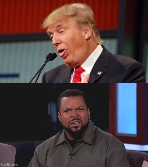 image tagged in trump dumbass look,really ice cube | made w/ Imgflip meme maker