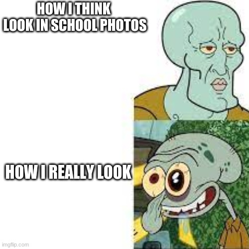bruh | HOW I THINK  LOOK IN SCHOOL PHOTOS; HOW I REALLY LOOK | image tagged in funny | made w/ Imgflip meme maker