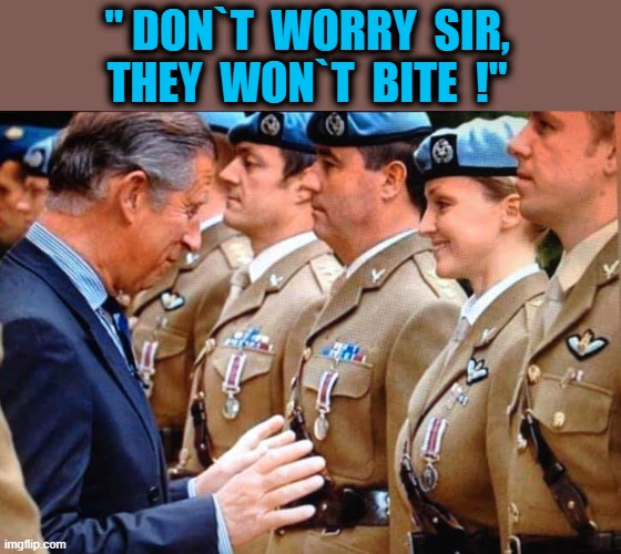 " ...they won`t bite ! " | " DON`T  WORRY  SIR,
THEY  WON`T  BITE  !" | image tagged in female logic | made w/ Imgflip meme maker