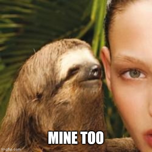 rape sloth | MINE TOO | image tagged in rape sloth | made w/ Imgflip meme maker