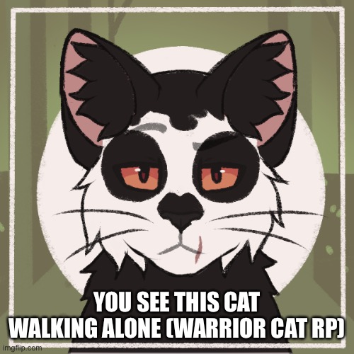 In the AU of Moonclan | YOU SEE THIS CAT WALKING ALONE (WARRIOR CAT RP) | made w/ Imgflip meme maker