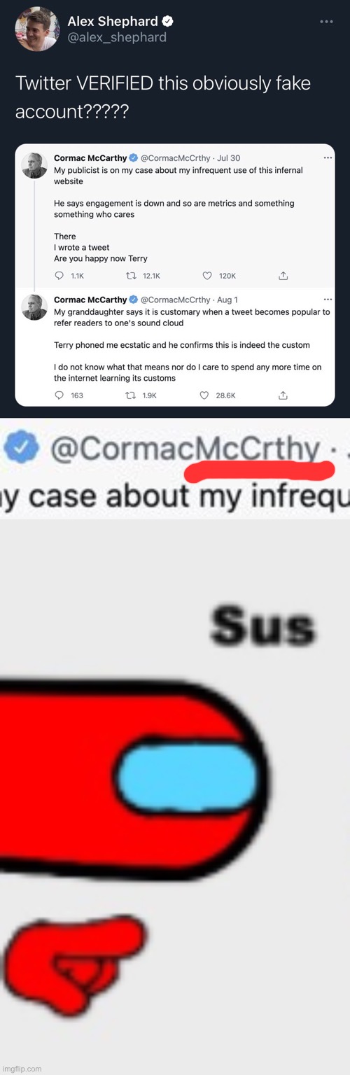 image tagged in fake cormac mccarthy twitter account,sus | made w/ Imgflip meme maker