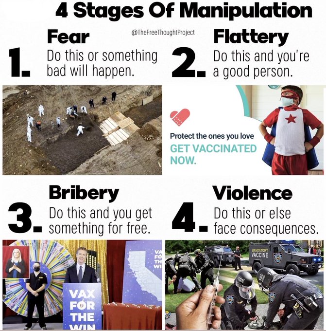 Four stages of manipulation Blank Meme Template