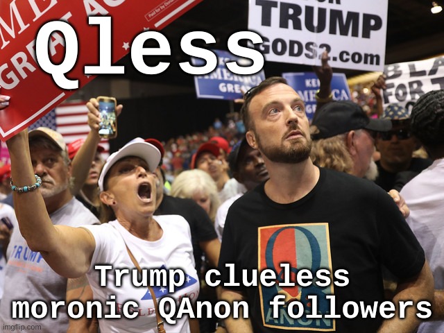 Qless - Trump's Clueless QAnon moronic followers | Qless; Trump clueless moronic QAnon followers | image tagged in qanon qless trump morons,qanon,trump,republican,insurrection,capitol riot | made w/ Imgflip meme maker