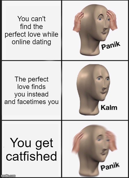 C a t f i s h  b e  l i k e | You can't find the perfect love while online dating; The perfect love finds you instead and facetimes you; You get catfished | image tagged in memes,panik kalm panik | made w/ Imgflip meme maker