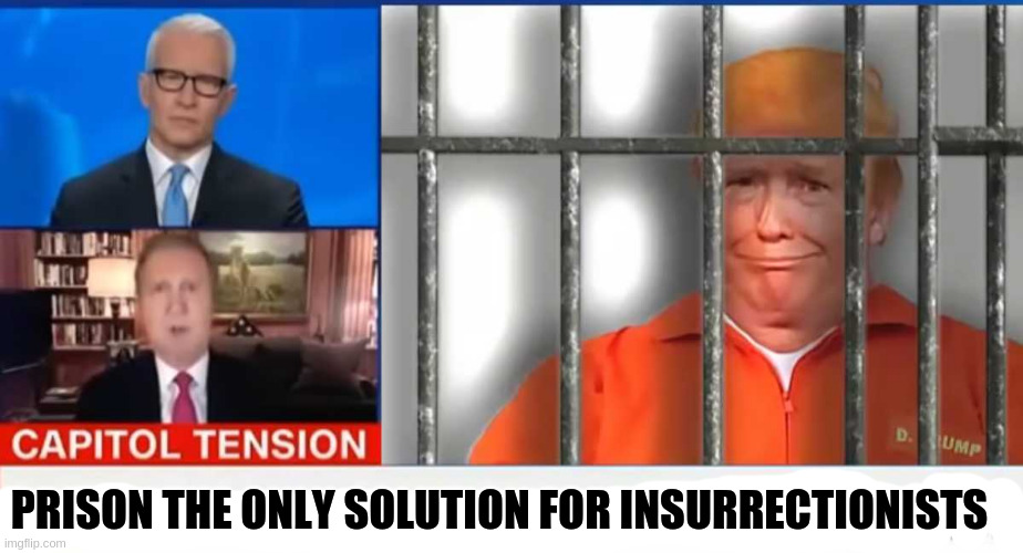 behind bars | PRISON THE ONLY SOLUTION FOR INSURRECTIONISTS | image tagged in behind bars | made w/ Imgflip meme maker