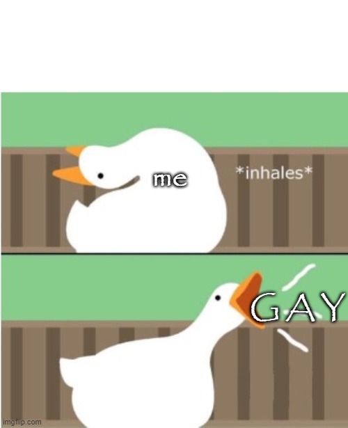 Untitled goose game honk | me G A Y | image tagged in untitled goose game honk | made w/ Imgflip meme maker