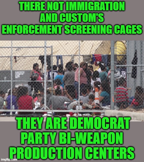 yep | THERE NOT IMMIGRATION AND CUSTOM'S ENFORCEMENT SCREENING CAGES; THEY ARE DEMOCRAT PARTY BI-WEAPON PRODUCTION CENTERS | image tagged in democrats,fascism | made w/ Imgflip meme maker