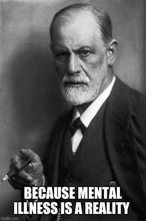 Sigmund Freud Meme | BECAUSE MENTAL ILLNESS IS A REALITY | image tagged in memes,sigmund freud | made w/ Imgflip meme maker