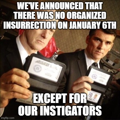 FBI | WE'VE ANNOUNCED THAT THERE WAS NO ORGANIZED INSURRECTION ON JANUARY 6TH; EXCEPT FOR OUR INSTIGATORS | image tagged in fbi | made w/ Imgflip meme maker