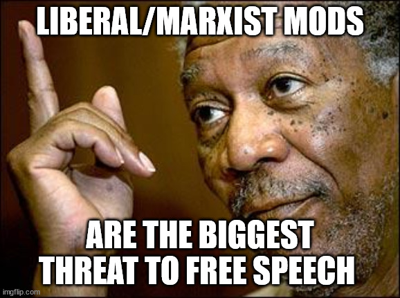 This Morgan Freeman | LIBERAL/MARXIST MODS ARE THE BIGGEST THREAT TO FREE SPEECH | image tagged in this morgan freeman | made w/ Imgflip meme maker