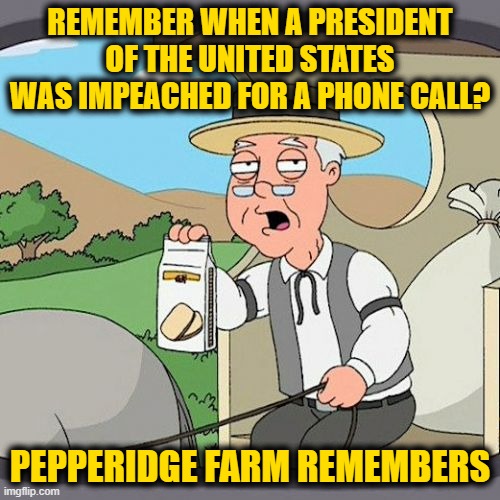 Pepperidge Farm Remembers | REMEMBER WHEN A PRESIDENT OF THE UNITED STATES WAS IMPEACHED FOR A PHONE CALL? PEPPERIDGE FARM REMEMBERS | image tagged in memes,pepperidge farm remembers | made w/ Imgflip meme maker