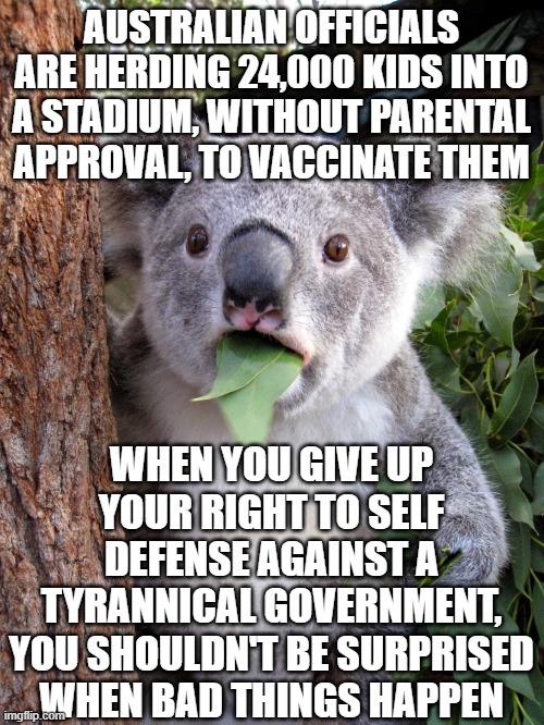 forced vaccinations | AUSTRALIAN OFFICIALS ARE HERDING 24,000 KIDS INTO A STADIUM, WITHOUT PARENTAL APPROVAL, TO VACCINATE THEM; WHEN YOU GIVE UP YOUR RIGHT TO SELF DEFENSE AGAINST A TYRANNICAL GOVERNMENT, YOU SHOULDN'T BE SURPRISED WHEN BAD THINGS HAPPEN | image tagged in australian koala surprise wtf | made w/ Imgflip meme maker