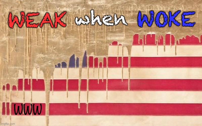 I Hate Seeing My Country Being Taken Down | WOKE; when; WEAK; WWW | image tagged in usa usa,god bless america,you can take that woke bs and shove it up your,a better place than america,go there | made w/ Imgflip meme maker