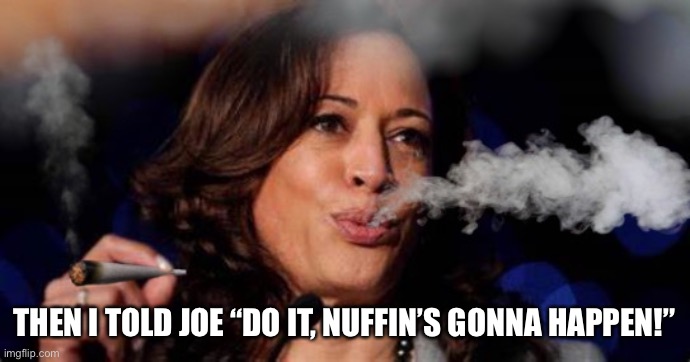 Last one in the room | THEN I TOLD JOE “DO IT, NUFFIN’S GONNA HAPPEN!” | image tagged in kamala harris stoned,afghanistan | made w/ Imgflip meme maker