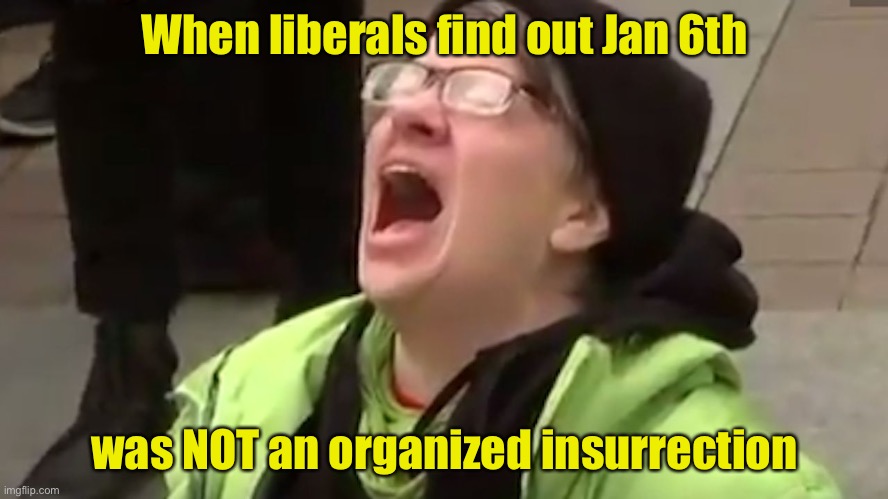 They had one major event to point fingers at, and it’s not the insurrection that wanted it to be. | When liberals find out Jan 6th; was NOT an organized insurrection | image tagged in screaming liberal | made w/ Imgflip meme maker