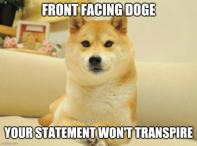 Front Facing Doge | FRONT FACING DOGE YOUR STATEMENT WON'T TRANSPIRE | image tagged in front facing doge | made w/ Imgflip meme maker