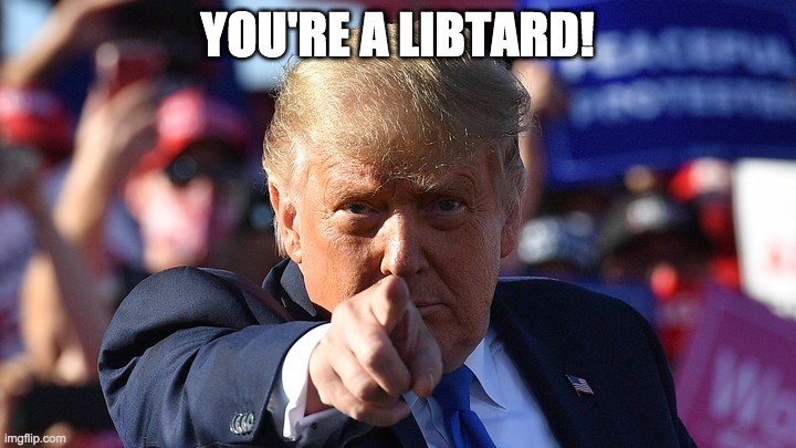 You're a libtard - rohb/rupe | YOU'RE A LIBTARD! | image tagged in libtards | made w/ Imgflip meme maker