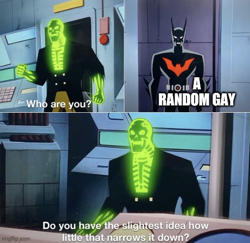 Do you have the slightest idea how little that narrows it down? | A RANDOM GAY | image tagged in do you have the slightest idea how little that narrows it down | made w/ Imgflip meme maker