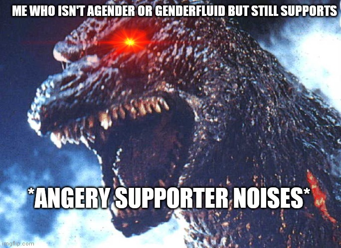 *ANGERY SUPPORTER NOISES* ME WHO ISN'T AGENDER OR GENDERFLUID BUT STILL SUPPORTS | made w/ Imgflip meme maker