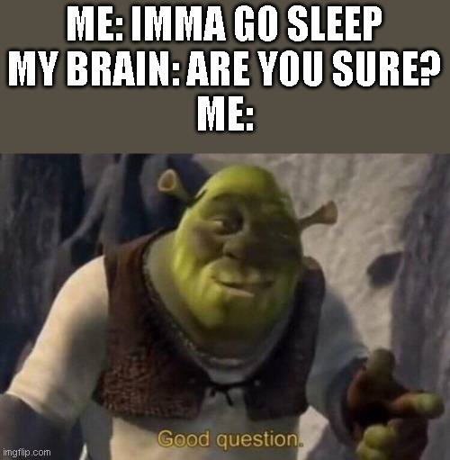 Shrek good question |  ME: IMMA GO SLEEP
MY BRAIN: ARE YOU SURE?
ME: | image tagged in shrek good question | made w/ Imgflip meme maker