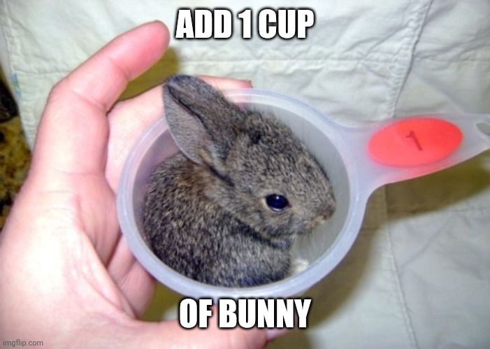 HOW TO MAKE CUTENESS | ADD 1 CUP; OF BUNNY | image tagged in bunnies,bunny | made w/ Imgflip meme maker