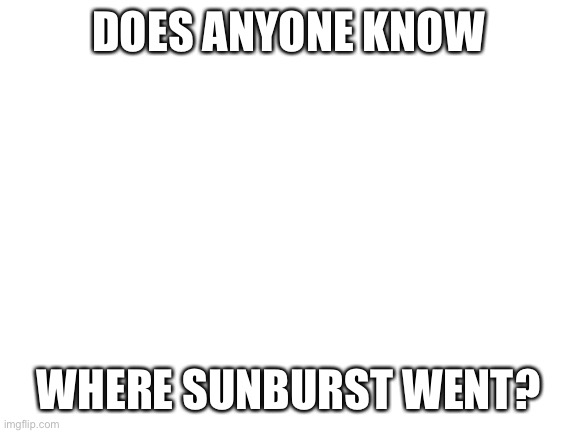 Anybody have a clue? | DOES ANYONE KNOW; WHERE SUNBURST WENT? | image tagged in blank white template,sunburst | made w/ Imgflip meme maker