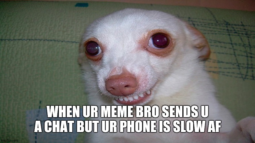 I hate it when this happens | WHEN UR MEME BRO SENDS U A CHAT BUT UR PHONE IS SLOW AF | image tagged in embarrassed grin | made w/ Imgflip meme maker