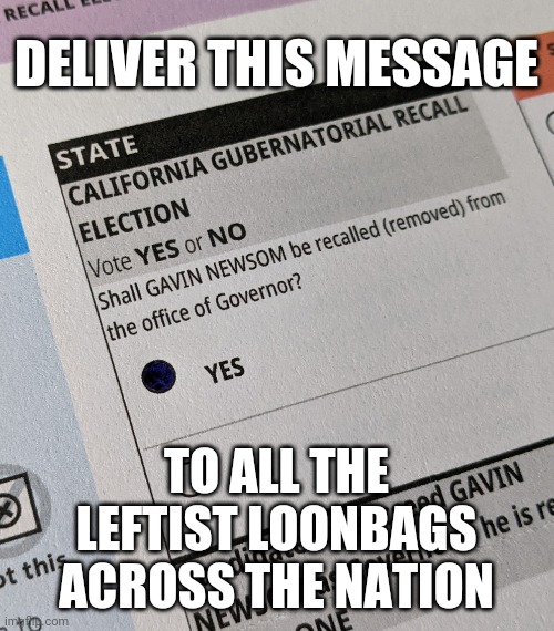 Recall Newsom Save California | DELIVER THIS MESSAGE; TO ALL THE LEFTIST LOONBAGS ACROSS THE NATION | image tagged in recall newsom save california | made w/ Imgflip meme maker