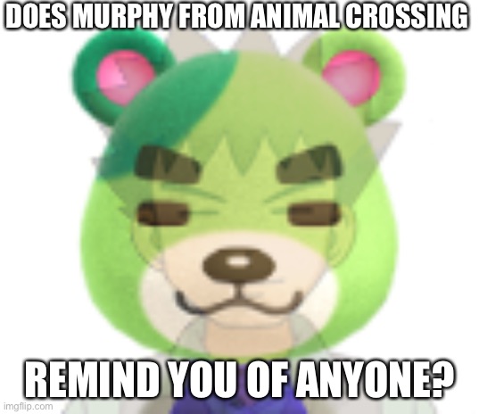 Murphy | DOES MURPHY FROM ANIMAL CROSSING; REMIND YOU OF ANYONE? | image tagged in animal crossing,animal crossing new horizons,pokemon,brock | made w/ Imgflip meme maker