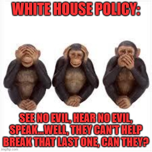 Joe's only seen high praise for his actions in Afghanistan from our allied leaders. | WHITE HOUSE POLICY: SEE NO EVIL, HEAR NO EVIL, SPEAK...WELL, THEY CAN'T HELP BREAK THAT LAST ONE, CAN THEY? | image tagged in see no evil hear no evil speak no evil,biden,afghanistan | made w/ Imgflip meme maker