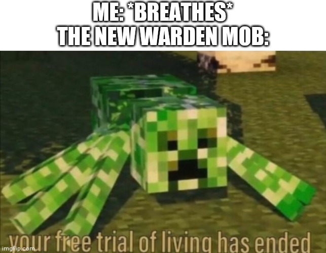 That thing looks so terrifying ngl | ME: *BREATHES*
THE NEW WARDEN MOB: | image tagged in your free trial of living has ended,minecraft | made w/ Imgflip meme maker