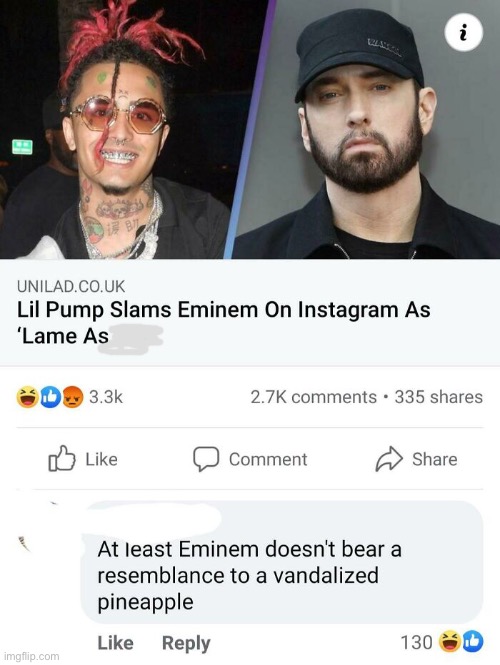 dang they kinda have a point tho | image tagged in rareinsults,funny,eminem,lil pump,roasted | made w/ Imgflip meme maker