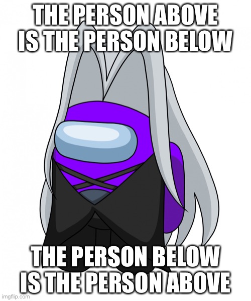Sussyroth | THE PERSON ABOVE IS THE PERSON BELOW; THE PERSON BELOW IS THE PERSON ABOVE | image tagged in sussyroth | made w/ Imgflip meme maker